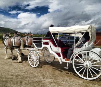 Hayrides & Carriage Rides in Breckenridge